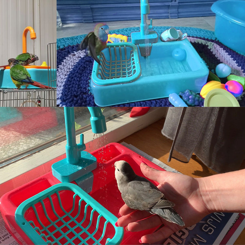 Banheira Pet Banho para Aves Toys